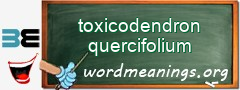 WordMeaning blackboard for toxicodendron quercifolium